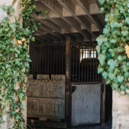 Апартаменты Le Clos D'omaha - Luxueuses A 5 Min D'omaha *