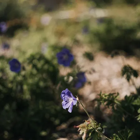 Le Clos D'omaha - Luxueuses A 5 Min D'omaha Апартаменты *