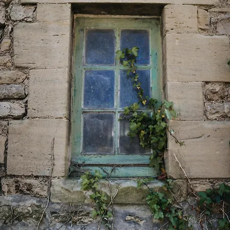 Le Clos D'omaha - Luxueuses A 5 Min D'omaha Lejlighed