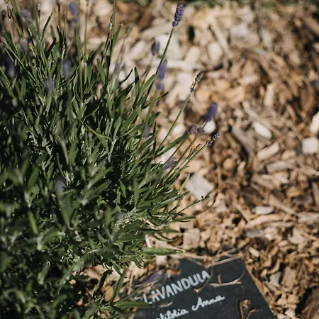 Le Clos D'omaha - Luxueuses A 5 Min D'omaha Апартаменты *