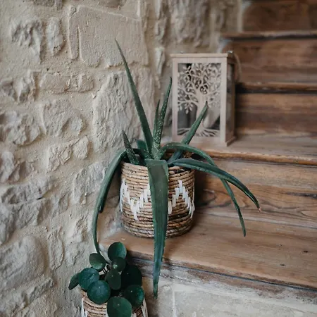 Le Clos D'omaha - Luxueuses A 5 Min D'omaha Апартаменты Englesqueville-la-Percee