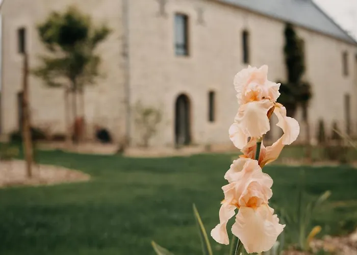 Le Clos D'omaha - Luxueuses à 5 Min D'omaha