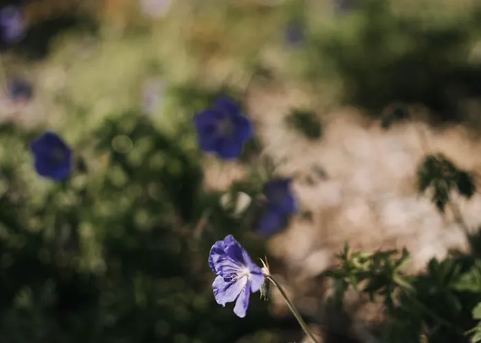 Le Clos D'omaha - Luxueuses à 5 Min D'omaha Appartamento *