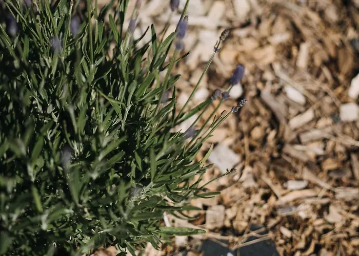 Le Clos D'omaha - Luxueuses à 5 Min D'omaha Appartamento *