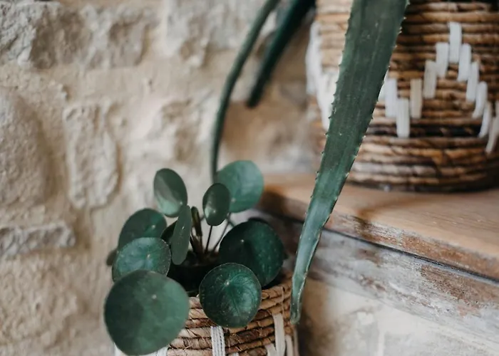 Appartamento Le Clos D'omaha - Luxueuses à 5 Min D'omaha *