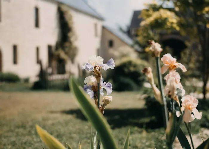 Appartamento Le Clos D'omaha - Luxueuses à 5 Min D'omaha